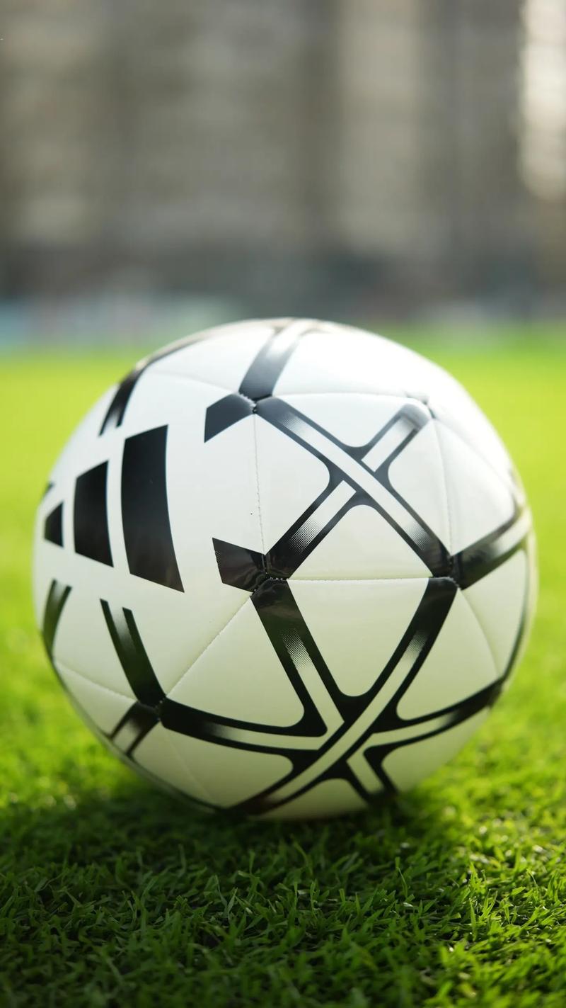 即时比分雷速应用界面展示